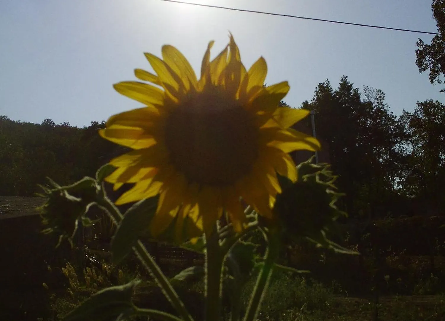 Farm stay Agriturismo San Pietro Villa Gangi Italy