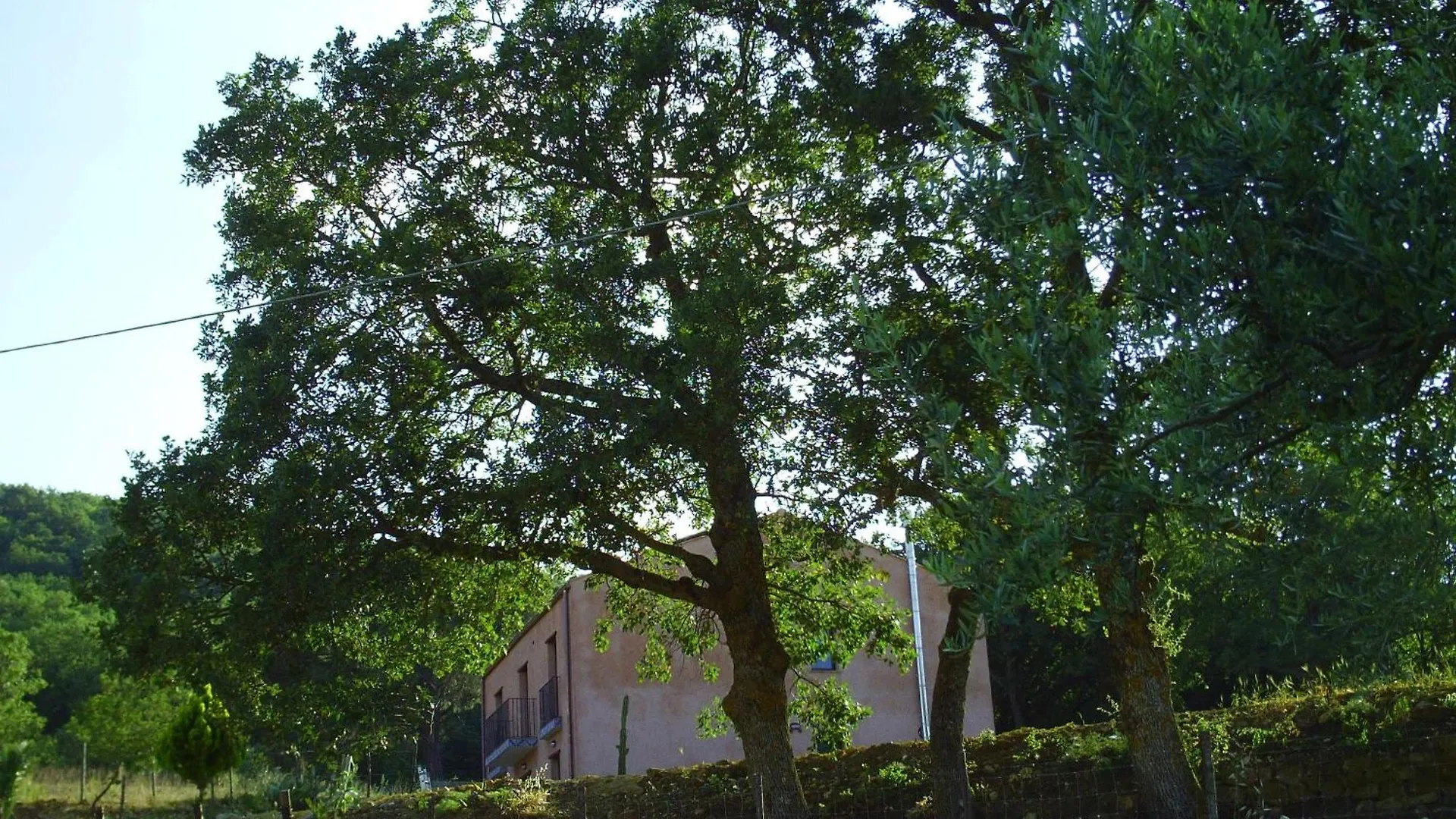 Agriturismo San Pietro Gangi Alloggio per agriturismo