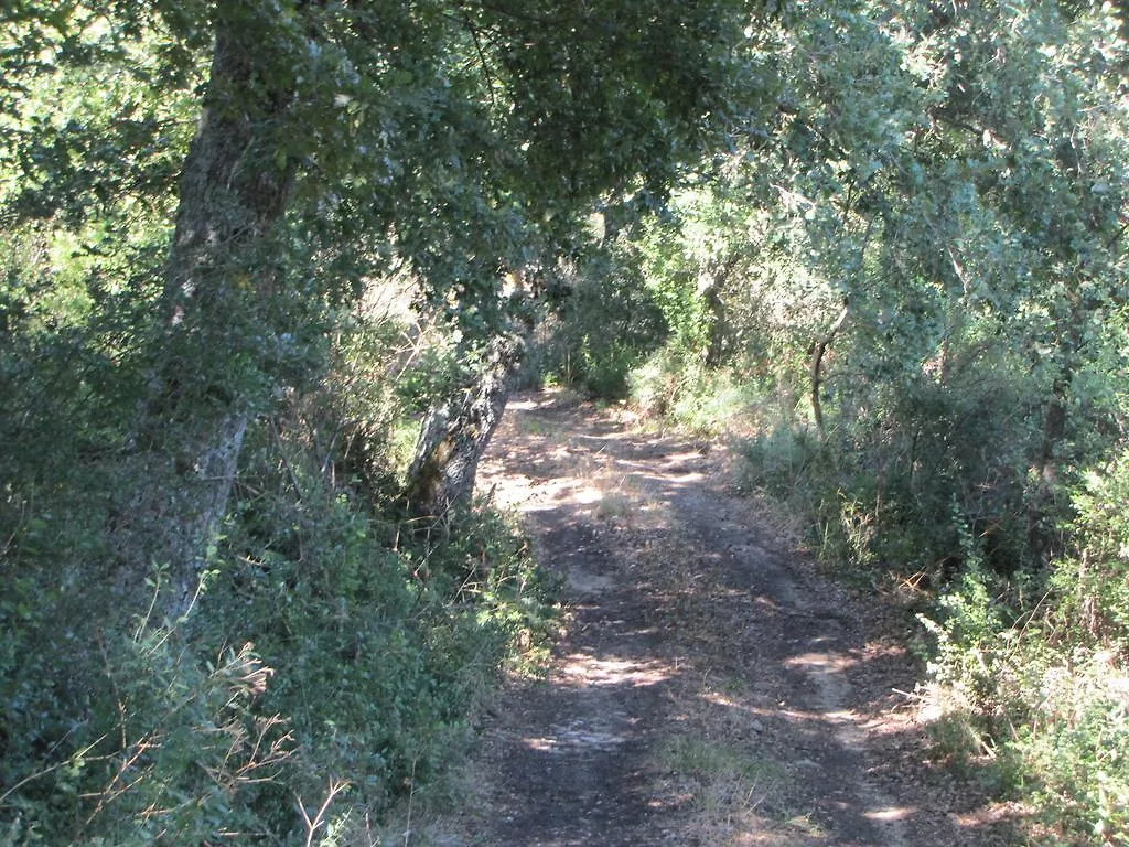 Agriturismo San Pietro Gangi Alloggio per agriturismo