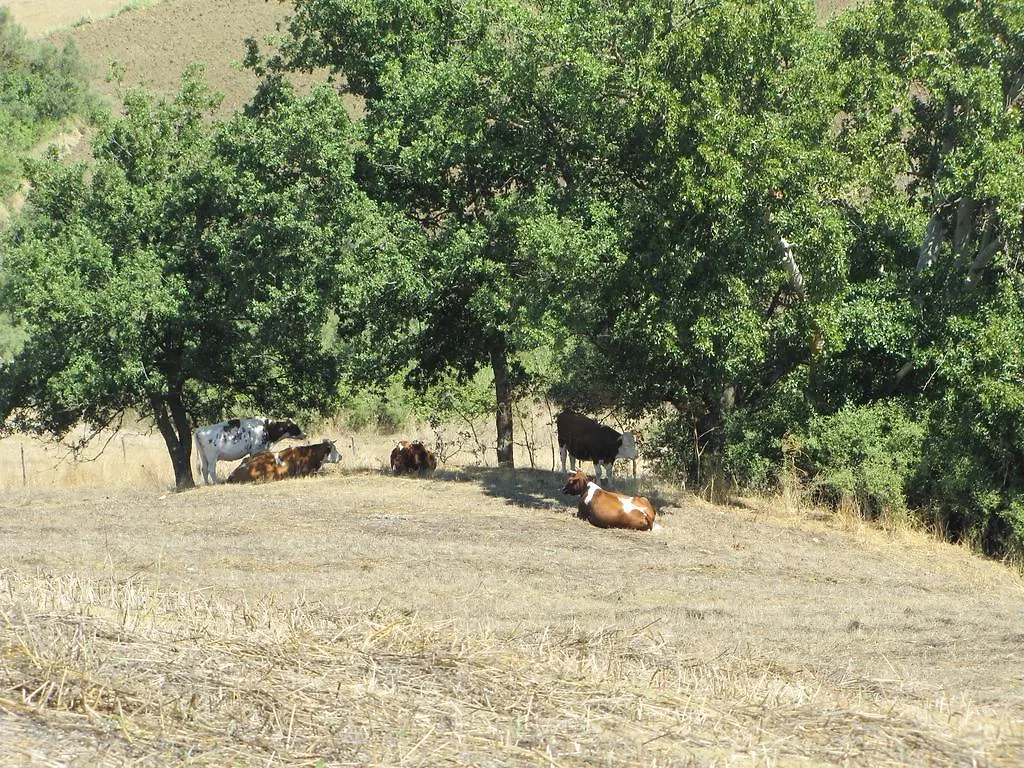 Alloggio per agriturismo Agriturismo San Pietro Gangi Italia