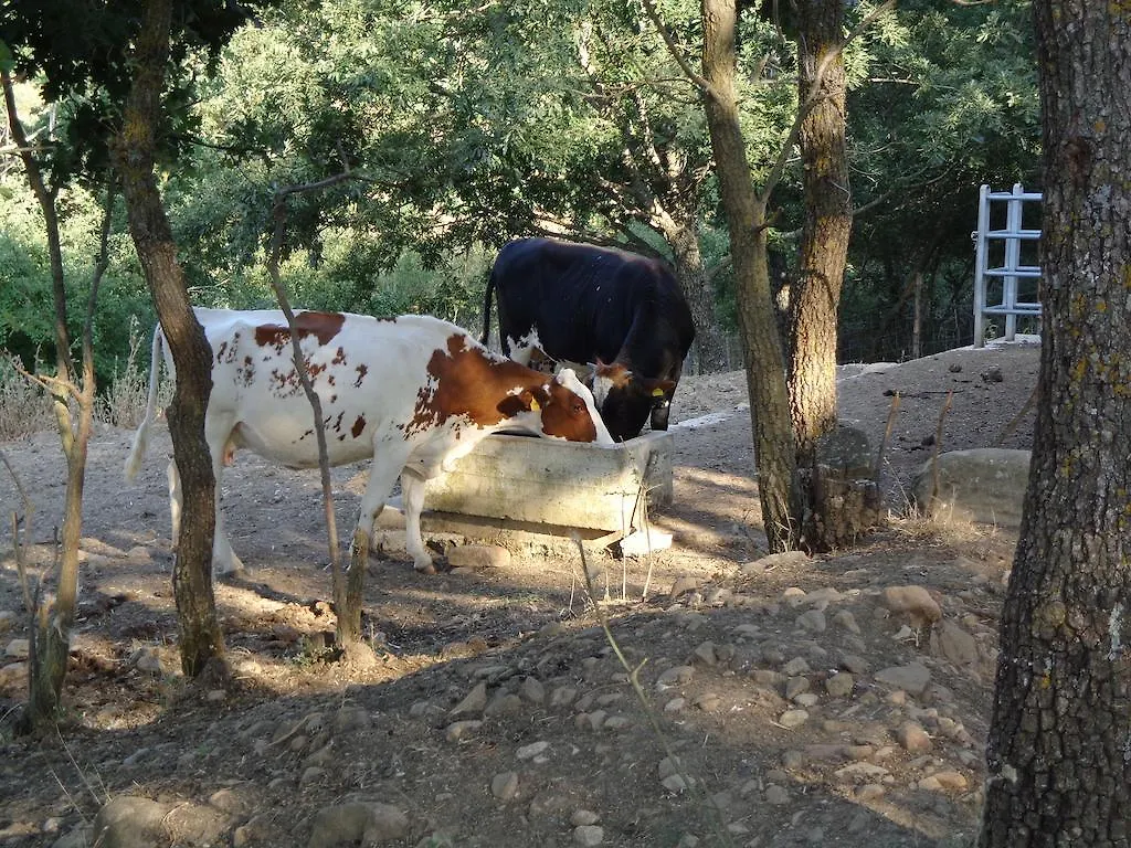 Alloggio per agriturismo Agriturismo San Pietro Gangi Italia