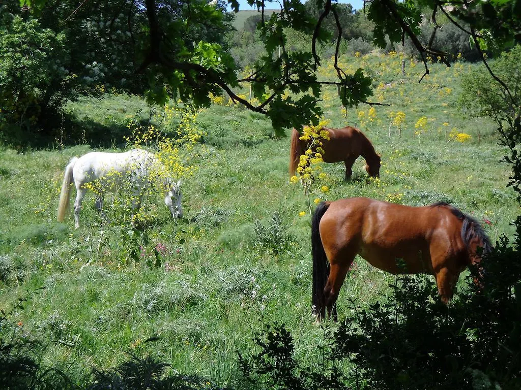 Agriturismo San Pietro Gangi Farm stay